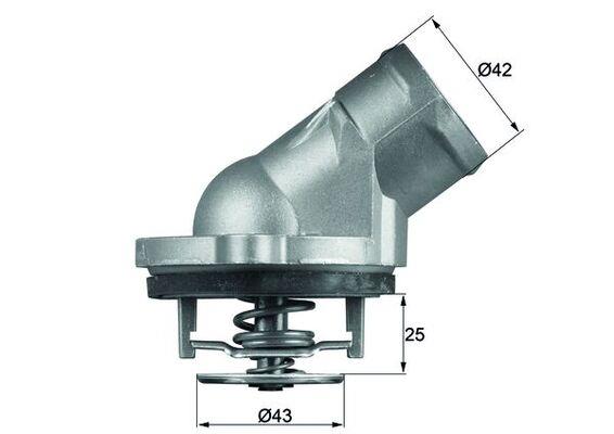 termostat,lichid racire - BEHR