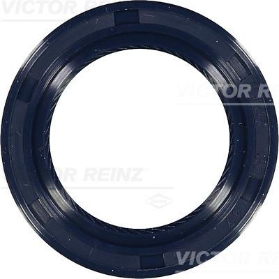 Simering, arbore cotit; Simering, ax cu came - REINZ