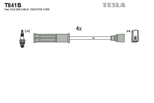 Set cablaj aprinder - TESLA