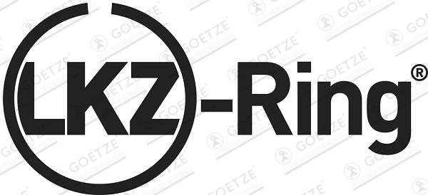 Set segmenti piston - GOETZE ENGINE