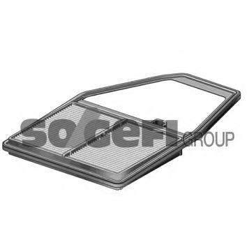 PRASCO Wing 13263496 - PRASCO