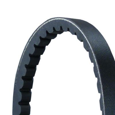 Curea transmisie - CONTITECH