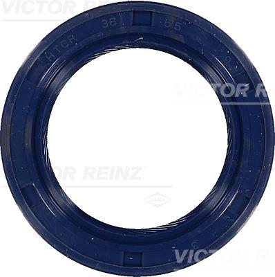 Simering, arbore cotit; Simering, ax cu came - REINZ
