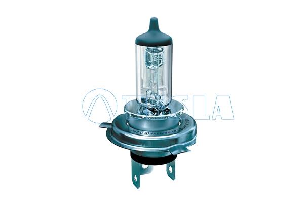 Bec, far faza lunga; Bec, far principal; Bec, proiector ceata; Bec incandescent; Bec, far principal; Bec, far faza lunga; Bec, proiector ceata - TESLA
