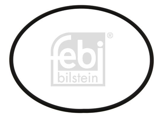 Garnitura, flansa-curatator centrifugal - FEBI BILSTEIN
