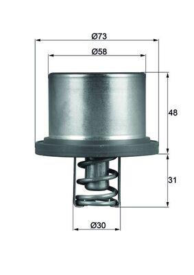 termostat,lichid racire - BEHR