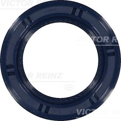 Simering, ax cu came - REINZ
