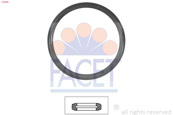 Garnitura termostat - FACET