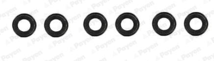 Set garnituri, ax supape - PAYEN