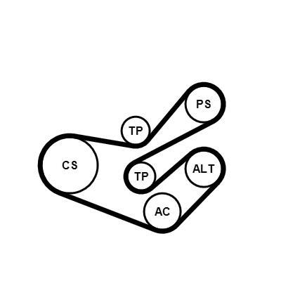 Set curea transmisie cu caneluri - CONTITECH