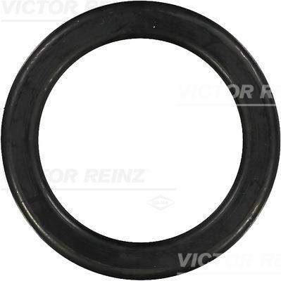 Garnitura, capac supape - REINZ