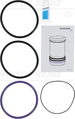 Set garnituri, bucsa cilindru - REINZ