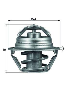 termostat,lichid racire - BEHR