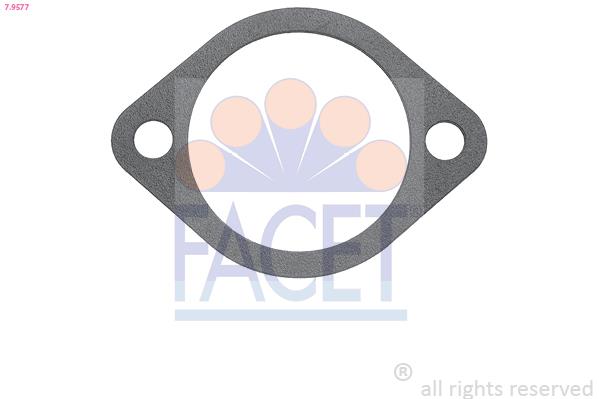 Garnitura termostat - FACET