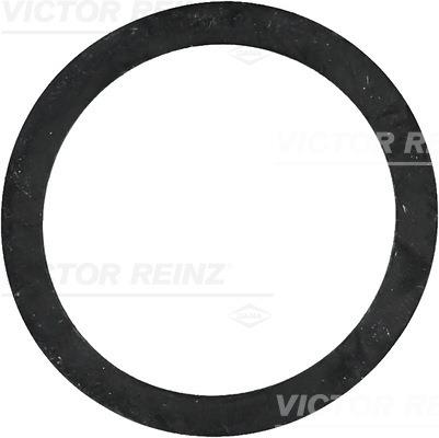 inel de etansare - REINZ