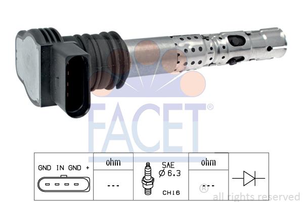 bobina de inductie - FACET