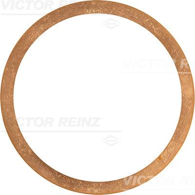 Garnitura, chiulasa - REINZ