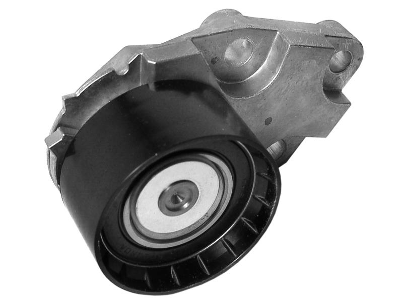 rola intinzator,curea distributie - INA