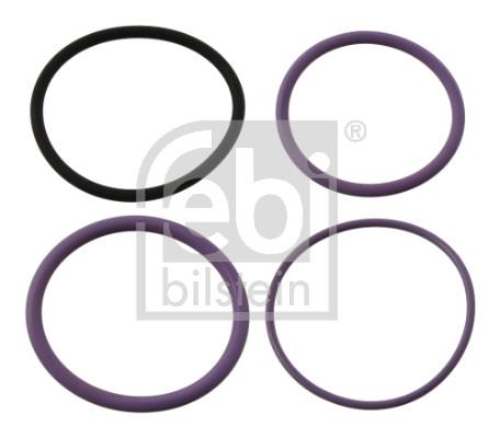 Set garnituri etansare,  injectoare - FEBI BILSTEIN