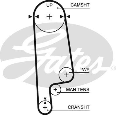 Curea de distributie - GATES