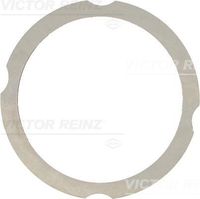 Garnitura, chiulasa - REINZ