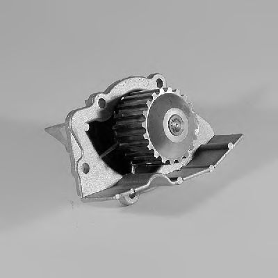 Bolt de biela - DT SPARE PARTS