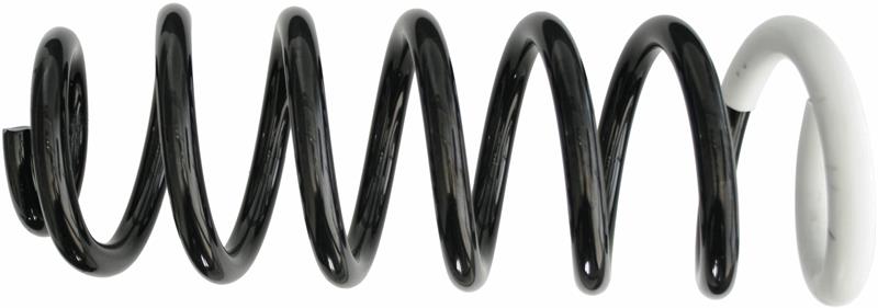 Arc elicoidal - SACHS