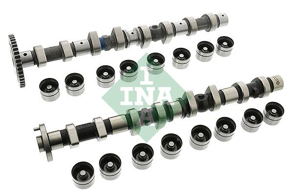 Kit arbore cu came - INA