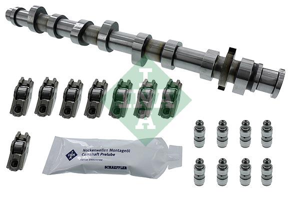 Kit arbore cu came - INA