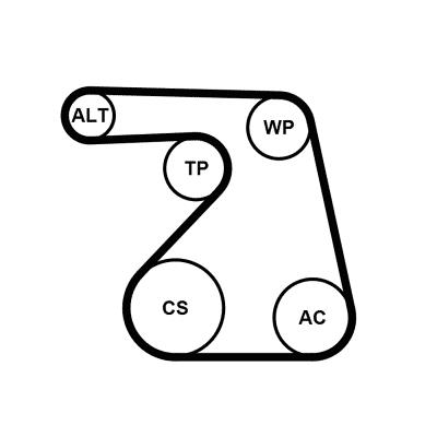 Set curea trapezoidale cu nervuri - CONTINENTAL CTAM