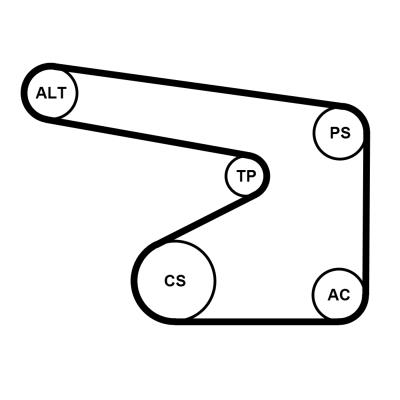 Set curea trapezoidale cu pompă de apă - CONTINENTAL CTAM