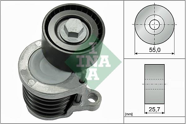 Intinzator curea - INA