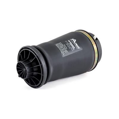 Suspensie cu arc pneumatic - ARNOTT