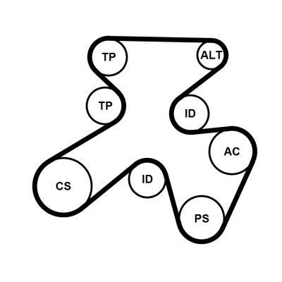 Set curea trapezoidale cu nervuri - CONTINENTAL CTAM