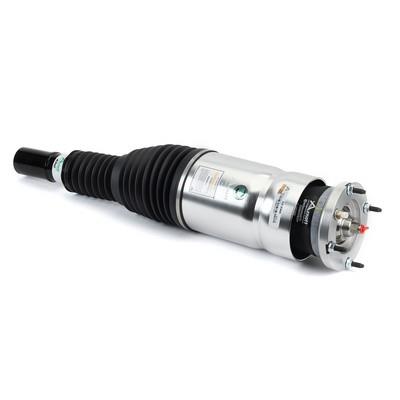 Strut cu arc pneumatic - ARNOTT