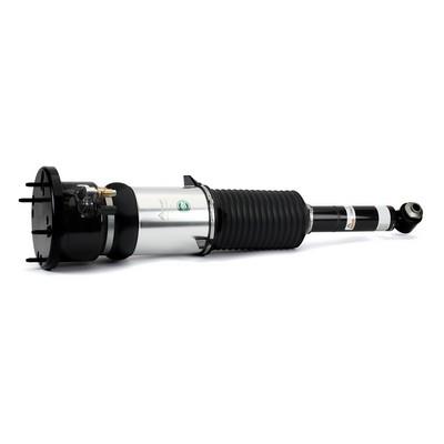 Strut cu arc pneumatic - ARNOTT
