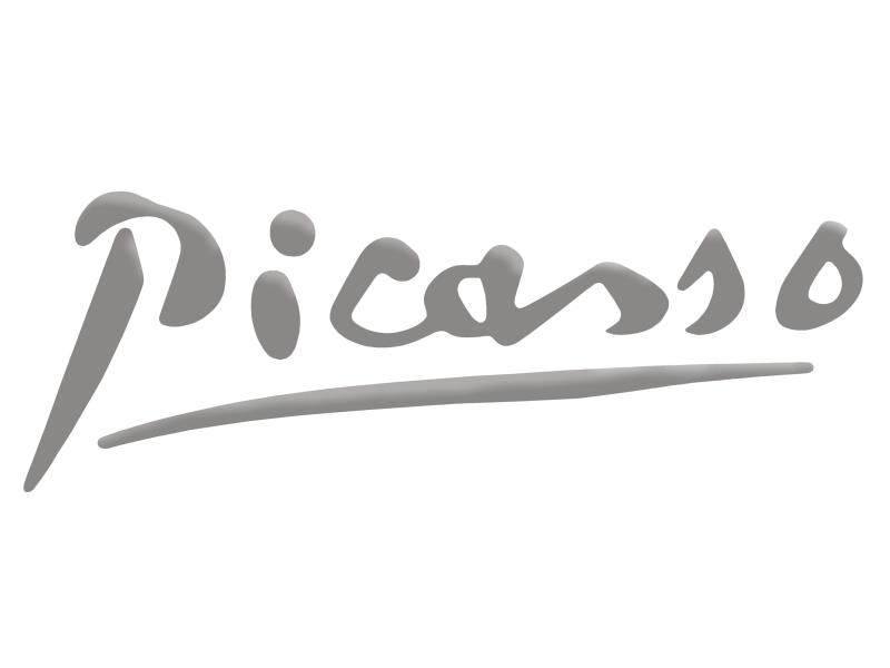 Scriere pentru vehicule - PSA