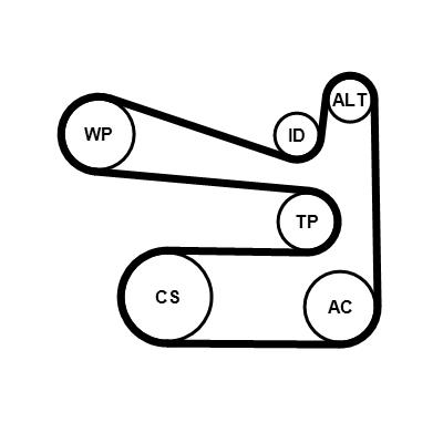 Set curea trapezoidale cu pompă de apă - CONTINENTAL CTAM