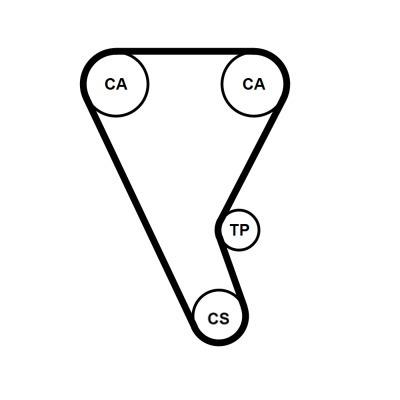 Curea de distributie - CONTINENTAL CTAM