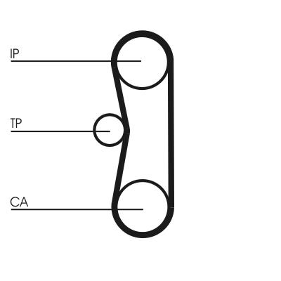 Set curea de distributie - CONTINENTAL CTAM