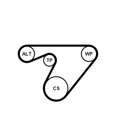 Set curea trapezoidale cu pompă de apă - CONTINENTAL CTAM