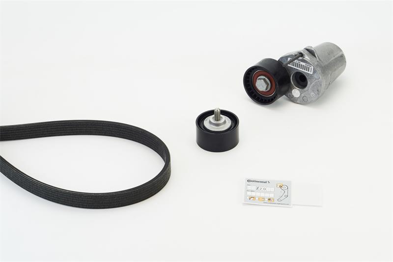 Set curea trapezoidale cu nervuri - CONTINENTAL CTAM