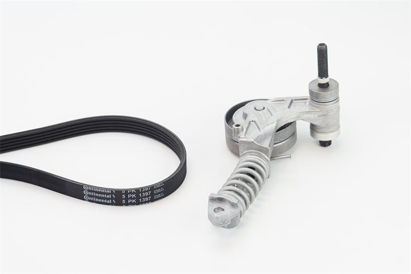 Set curea trapezoidale cu nervuri - CONTINENTAL CTAM