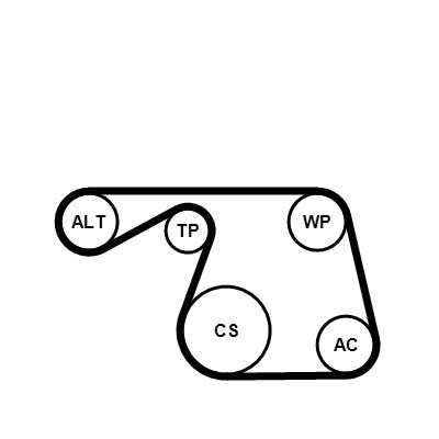 Set curea trapezoidale cu pompă de apă - CONTINENTAL CTAM