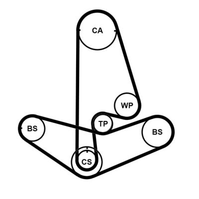 Set curea de distributie - CONTINENTAL CTAM