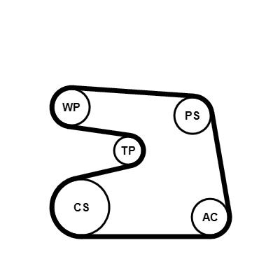Set curea trapezoidale cu pompă de apă - CONTINENTAL CTAM