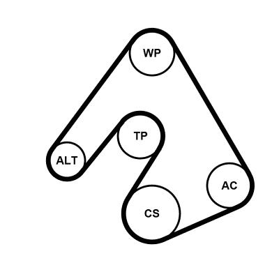 Set curea trapezoidale cu pompă de apă - CONTINENTAL CTAM