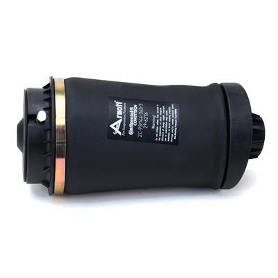 Suspensie cu arc pneumatic - ARNOTT