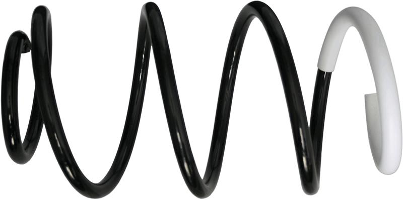 Arc elicoidal - SACHS