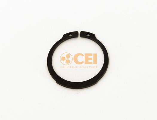 Circlip - CEI